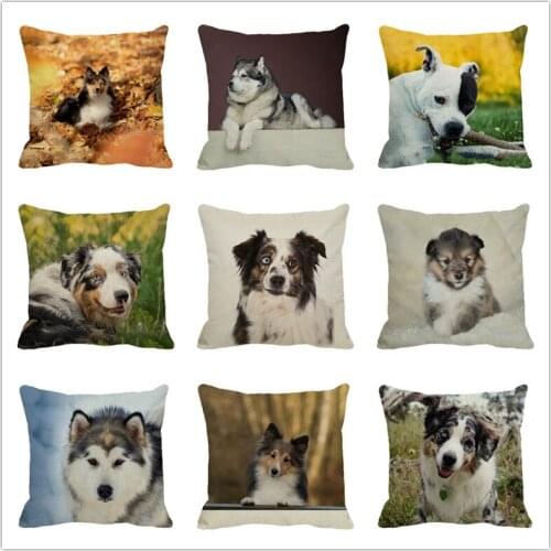 XUNYU Lovely Black and White Dog Throw Pillow Case Sofa Bed Cushion Cover Home Decor 45cm x 45cm Pillowcase C008