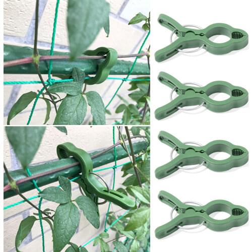 5-50pcs Reusable Green Plant Fixed Clips for Greenhous Vegetables Garden Flowers Stem Vines Grape Clamp Support Fastener