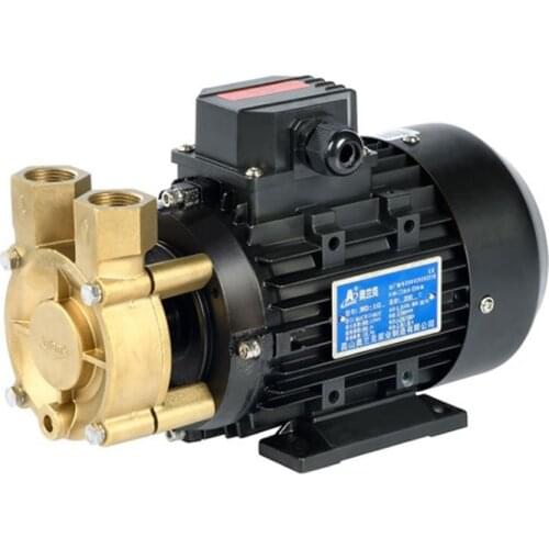 Hot oil pump WD10-200 mold temperature pump small high temperature pump horizontal vortex pump circulating pump
