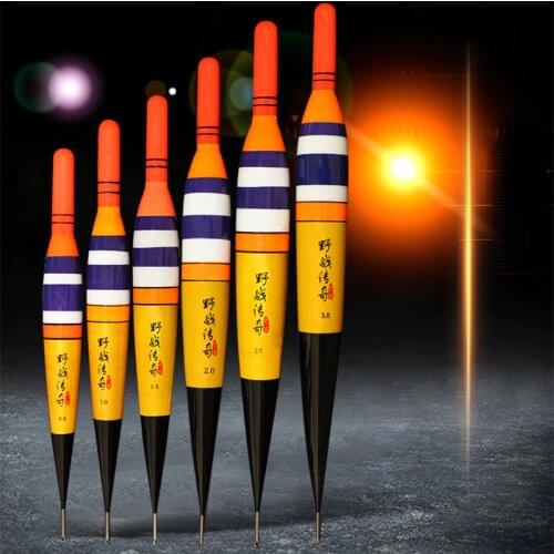 2Pcs LED Electronic Fishing Float Luminous Rock Fishing Buoy Without CR425 Battery 0.8#-3.0# Night Fishing Accessory F15