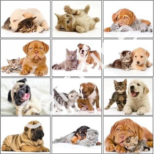 DIY 5D Diamond Painting Animal Dog Cat Cross Stitch Homemade Mosaic Wall Art Embroidery Full Round&Square Drill Home Decoration