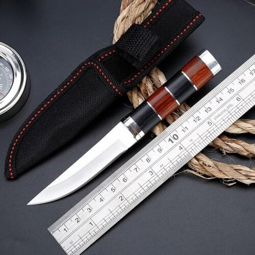 Survival Multifunction Tactical High Hardness Outdoor Hunting Knives Carry A Small Non-folding Knife Straight Knife Good Gift