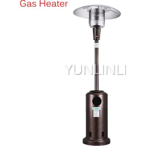 Gas Heater Commercial LPG & Natural Gas Heater For Bar,Garden,Restaurant Using Air Warmer Heating Device PG178H-A