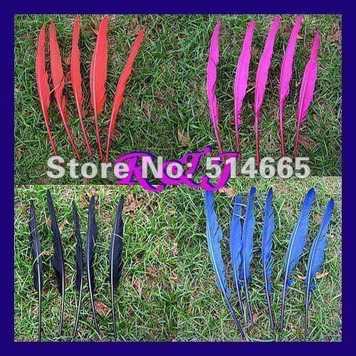 Wholesale geese feather 500pcs/lot 8-10inch 20-25cm mix color dyed goose Feather For Party Performance