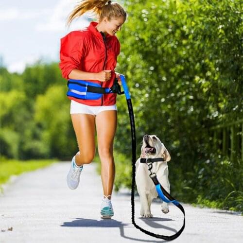 NEW Large Capacity Pet Dog Training Outdoor Supplies Portable Waist Bag Safety Reflective Elastic Dog Leash Set