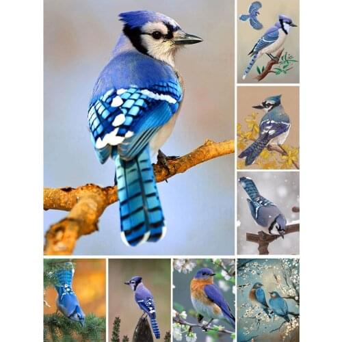 Blue Bird Jays 5D Diy Full Square and Round Diamond Painting Embroidery Cross Stitch Kit Wall Art Pet Store Home Decoration