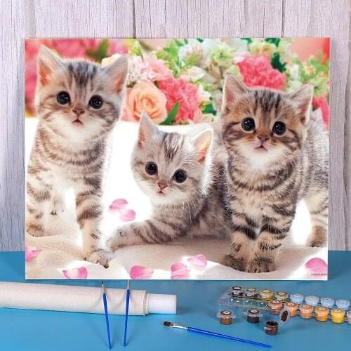 Animal Cat DIY Painting By Numbers Set Acrylic Paints 40*50 Boards By Numbers Handmade For Handicraft