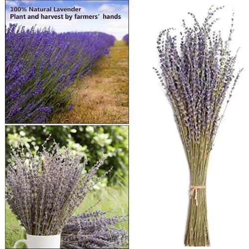 Lavender Dried Flowers Dried Lavender Home Fragrance Products for Wedding