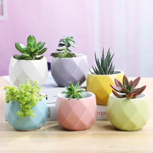 Multi-meat Flower Pot Small Fresh Simple Rough Pottery Table Top Ceramic Flower Pot Pendulum With Holes Pots For Plants