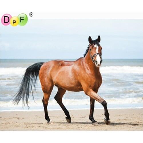 DPF Full Square 5D DIY Diamond Painting Cross Stitch Beach Horse diamond Embroidery Rhinestone diamond Mosaic Painting Gift