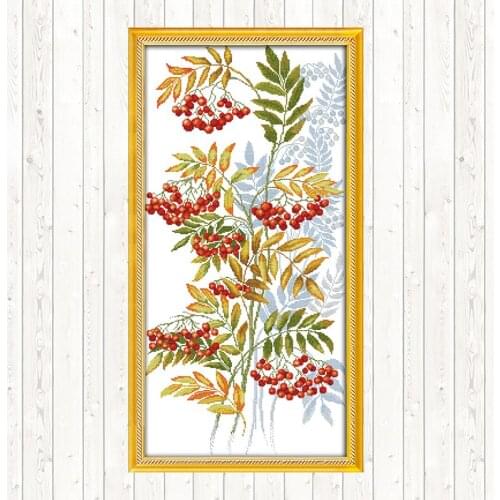 Small Red Fruit DIY Needlework Crafts Wall Home Decor Cotton Thread Embroidery Needlework Sets Cross Stitch Kits Patterns Kits