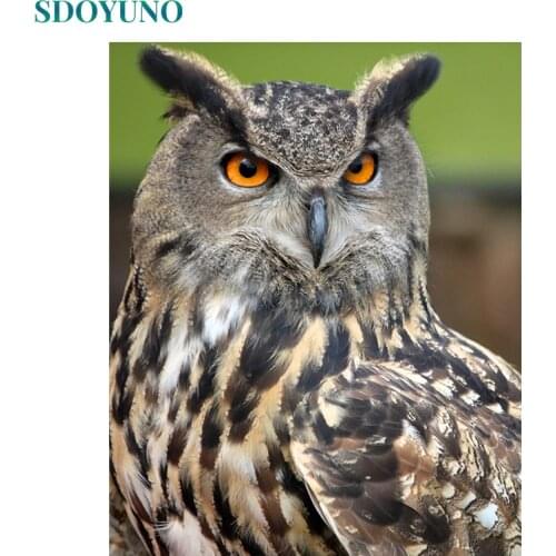 SDOYUNO Frame Owl Animals DIY Painting By Numbers Hand Painted Oil Painting Home Wall Decor Unique Gift For Living Room Arts
