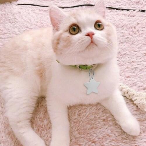 Bowknot /star/Medal Personalized Cat Dog Pet ID Tag Pendant Engraved Pet ID Name For Puppy Dog Collar Tag Pendant Keyring