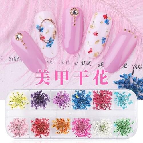 24Pcs 12 Patterns 3D Dry Flowers Stickers Real Dried Flower Nail Art Decoration Tips DIY Manicure Tools with Box