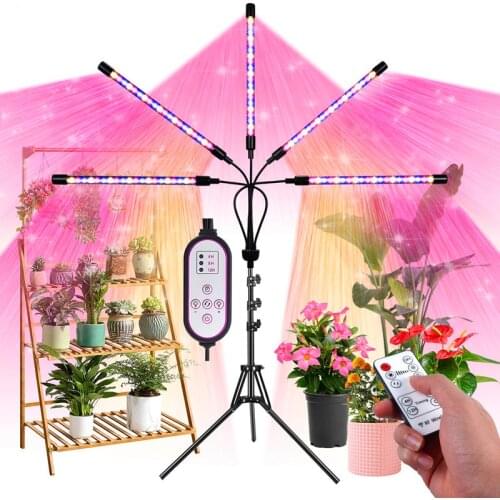 LED Plant Lamps UNLIBOOM China