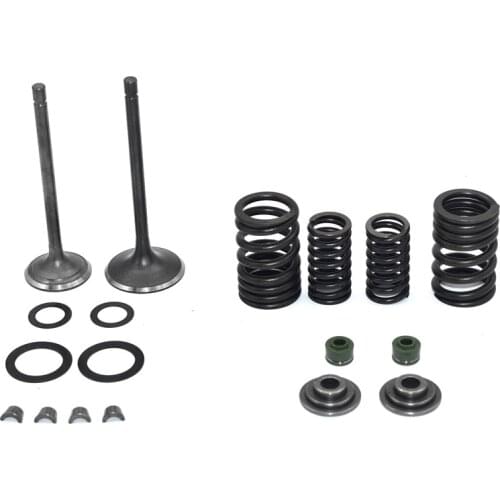 Intake Exhaust Valves Rebuild Kit for Zongshen CG250 250cc ATV Dirt Bike Go Kart