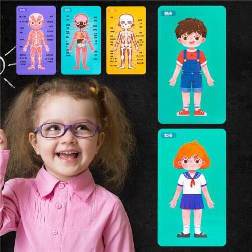 Children Biological toys Human Body Structure Cognitive Puzzle Wooden Puzzle Toys Boys and Girls Learning Cognition Toys