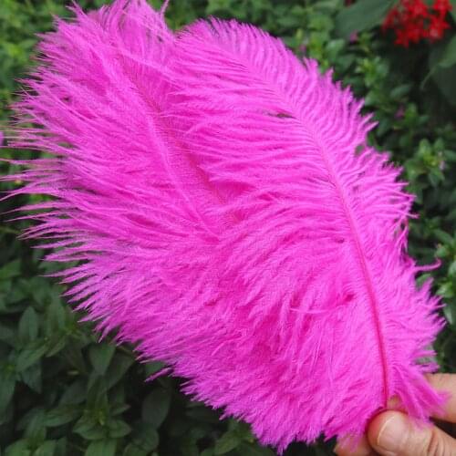 Ostrich Feathers for Crafts DIY Dream Catcher Feathers Jewelry Making Wedding Clothes Decoration Plumas 15-20cm Natural Feathers