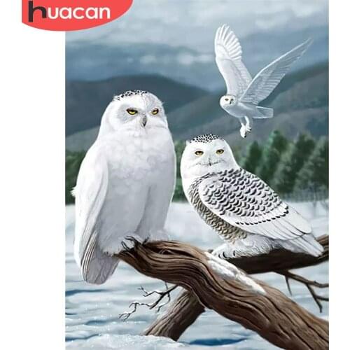 HUACAN Full Square/Round Diamond Painting Kit Owl Home Decor 5D DIY Diamond Embroidery Animal Handmade Gift Craft Kit