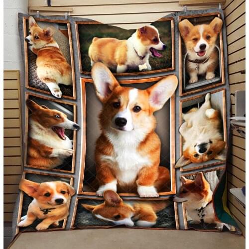 Dropshipping 3D Corgi Quilt High End Cute Fashionable Kids School Adults Bed Summer Cool Quilt Creative Hot Sales