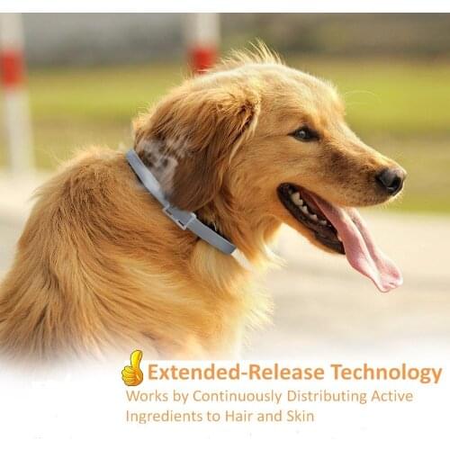 Gray Collar flea treatment for dogs Pet Any Size 25inches 8 Month Protection