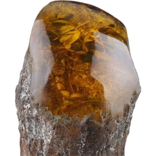 Natural amber scorpion amber classical art collection and home decoration