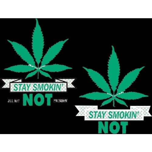 Green Maple Leaves Heat Transfer Pyrography for DIY T-shirt Jacket Iron on A-level Patch Decor Printing Badge Appliques