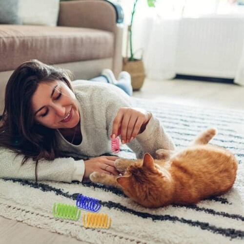 NHBR 12Pcs Interactive Cat Toys Colorful Spring Cat Toy Plastic Coil Spiral Springs Toys for Cat Kitten Pets Novelty Gift