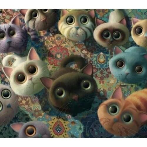 Katten met grote ogen Diamond Painting