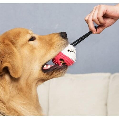 Rubber Dog Toy Ball Interactive Puppy Chew Toy Pet Products French Bulldog Teeth Cleaning Ball Best-selling Rubber Kong Dog Toys