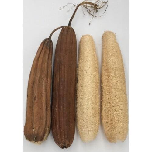 Natural Loofah Body Brush Bath Sponge Exfoliating Luffa Shower Scrub Bathing Massage Back Scrubber Spa Bathroom Accessories