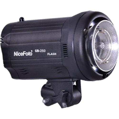 NiceFoto TGB-250 250W Studio Flash GB 250 Studio profession photography studio light lamp Auto discharge after shutdown
