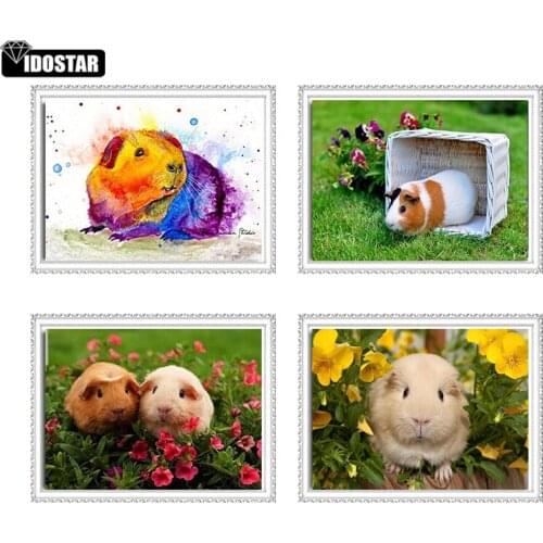 5d diy diamond Painting full square cross stitch kits Cute Animal Guinea Pig patterns embroidery bead drill rhinestone mosaic