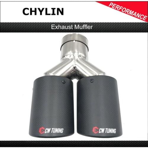 Y Style Model Dual Carbon fiber stainless steel universal exhaust tip Double Muffler end pipe For Ak For Bmw For Audi