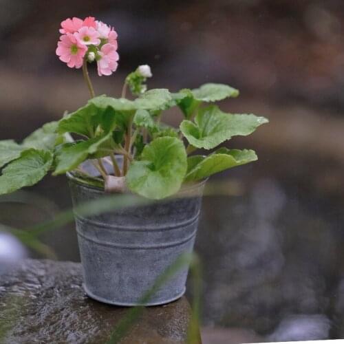 Shabby Chic Galvanised Metal Iron Flower Buckets Plants Planter Pot Bucket Flower Vases Home Balcony Floral Decor