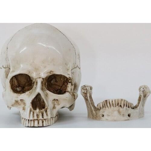 16cm Skull Statue Resin Crafts White Skull Head Props Bar Counter Home Decoration Sculpture Ornament Gifts Halloween Decoration