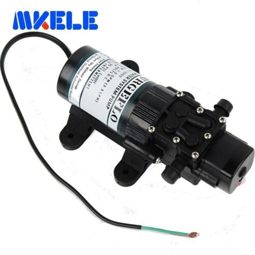 FL-2202 12V DC Mini Submersible water Pumps Diaphragm Pump Diaphragm Vacuum Pump 20m lift Free Shipping