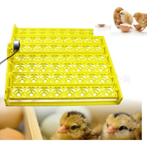 56 Egg Incubator mini Hatchery Turn Tray Chicken Incubation Tool Poultry Egg Incubator Automatic Egg Hatcher incubation equipmen
