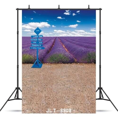 Road Sign Purple Flowers Sand Vinyl Photographic Background Customized For Wedding Baby Children Backdrop Booth Studio Photocall