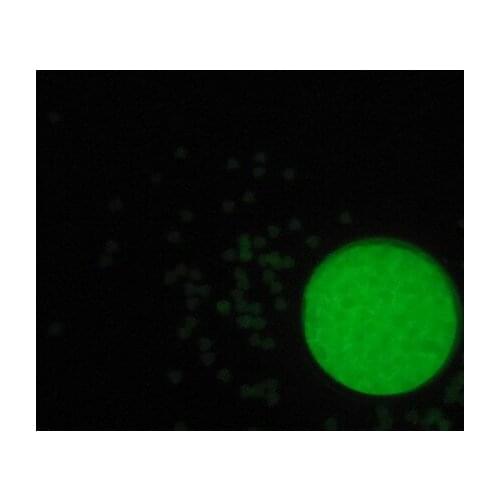 3mm Glow in dark Heart Sequin Glitter Noctilucent Glitter