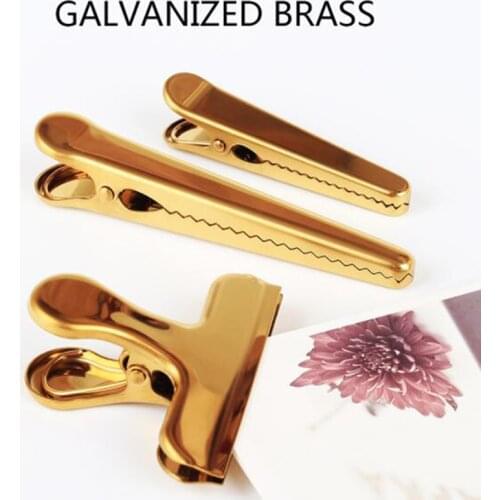Scandinavian Style Brass Clip Stainless Steel Bill Folder Storage Metal Seal Hole Clip Gold Long Tail Clip