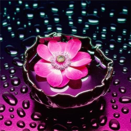 5dDIY Diamond Painting pink lotus Cross Stitch Kits Full Diamond Mosaic Crystal Diamond Embroidery almaznaya Pattern Rhinestones