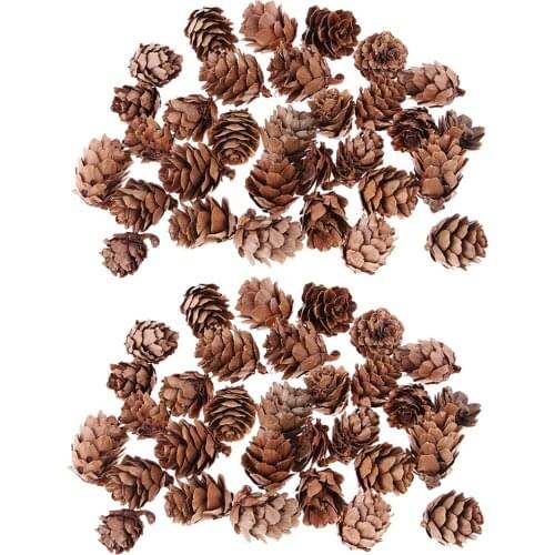 60 Pieces Mini Decorative Pinecone Pine Cones Pinecone For Christmas Tree Toppers Vase Bowl Filler Displays Crafts Home Decor