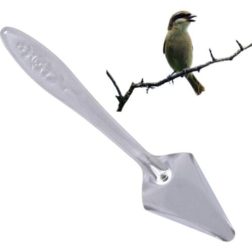 2019 Stainless Steel Spoon Milk Powder Feeding Pet Parrot Chick Spoon Funny Practical Feeding Spoon Bird Parrot Supplies