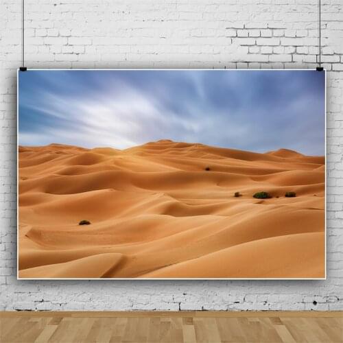 Laeacco Desert View Sunshine Friend Trip Party Background Sunny Day Blue Sky Scenic Photographic Backdrop Photocall Photostudio