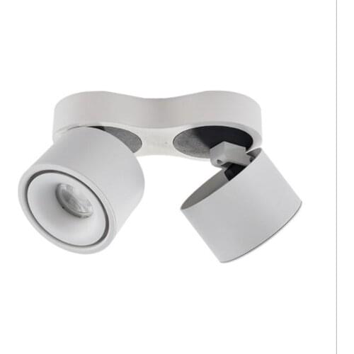 Dimmable LED Downlight 30W 40W Surface Mounted 2x15W 2x20W COB LED Ceiling Lamps LED Spotlight Rotatable Adjustable Indoor Light