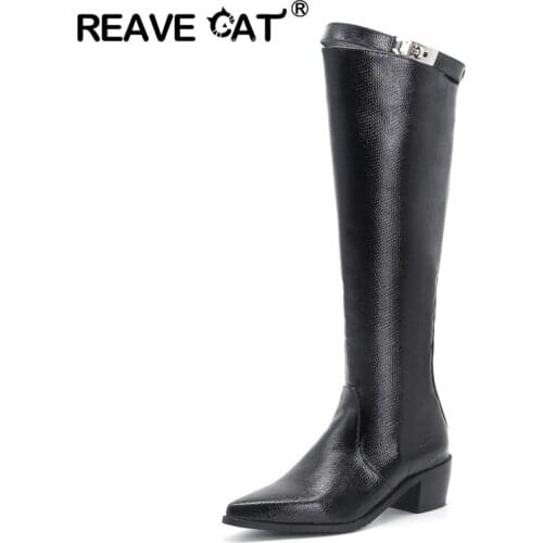 REAVE CAT Vintage Square High Heel Slim Knee High Boots Women Shoes Pointed Toe Western Style Zipper Big Size 34-48 S2361