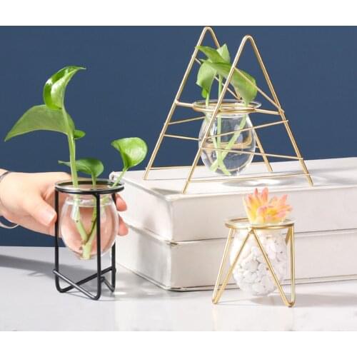 Glass Vase Transparent Hydroponics Vase Bottle Glass Planter Desktop Decorations for Home Office Flower Vase Black/Golden