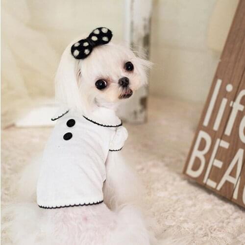 New Pet Clothes Round Neck Bottoming Shirt Dog Cotton Spring Autumn Clothes Dog Cat Clothes for Small Dogs Shirt Puppy Clothes