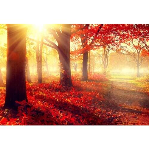 Red maple forest background backdrops vinyl wall-paper fairy tale photography backdrop for photo studio kits accessories lv-2099